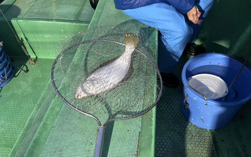 開始早々右舷が賑やかに