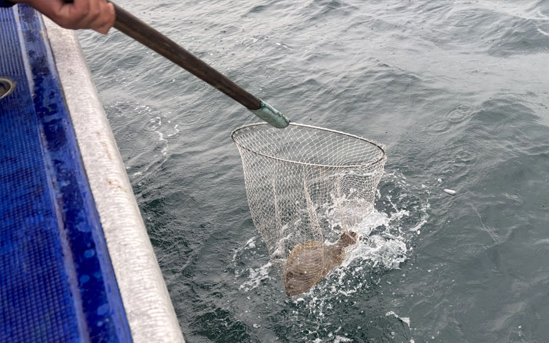 10時すぎに良型ラッシュ