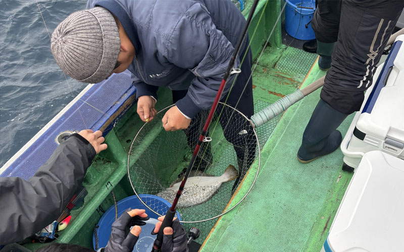 中盤にプチラッシュも小型中心